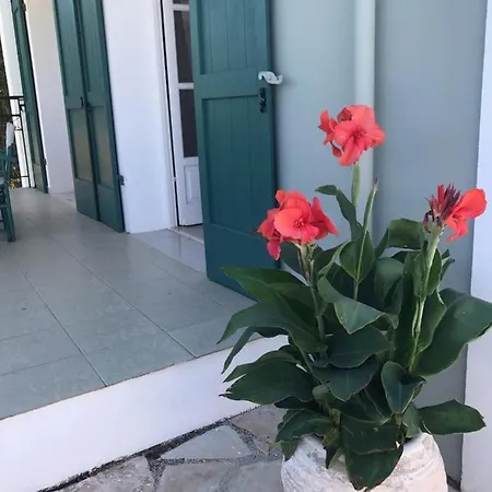 Regina فيلة فيسكاردو