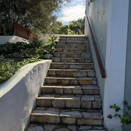 Regina فيسكاردو