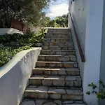 Regina פיסקרדו